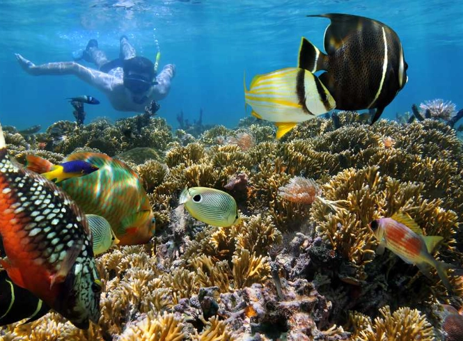 when to snorkel in Seychelles