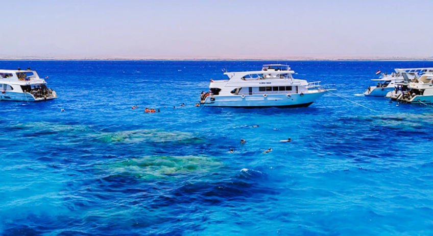egypt red sea snorkeling tours