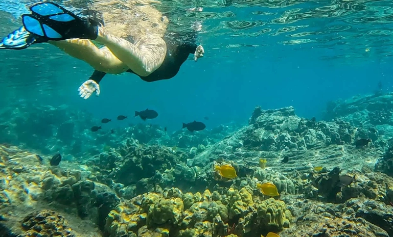 snorkeling tours for beginners snorkeling tours for beginners