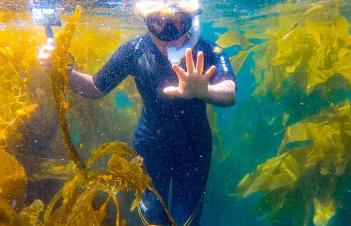 guided snorkeling tours