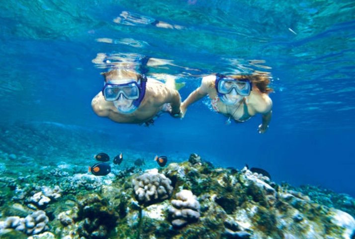 best snorkeling tours best snorkeling tours