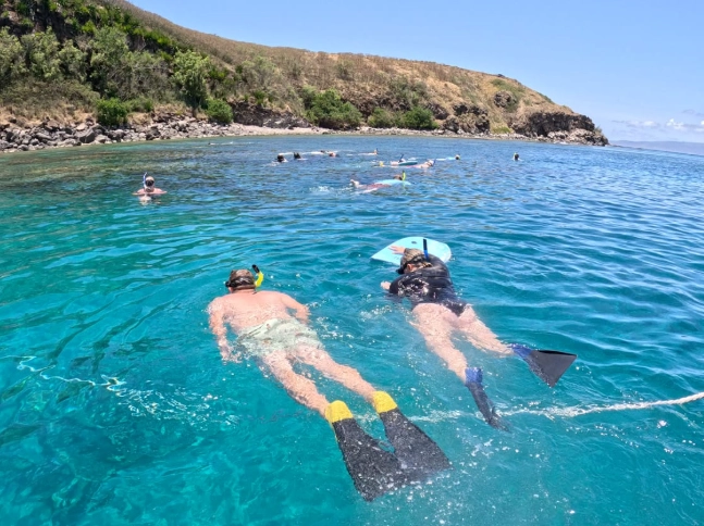 Family snorkeling trips