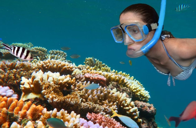 guided snorkeling tours