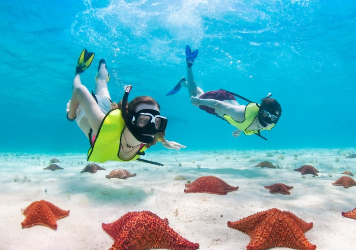 West Bay Beach snorkeling