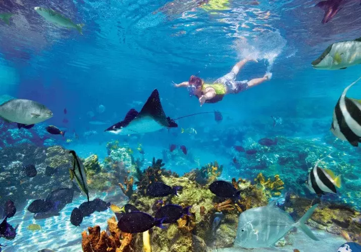 snorkeling Costa Rica dry season snorkeling Costa Rica dry season