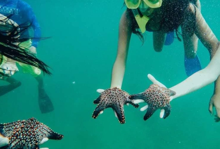 Costa Rica snorkeling season Costa Rica snorkeling season