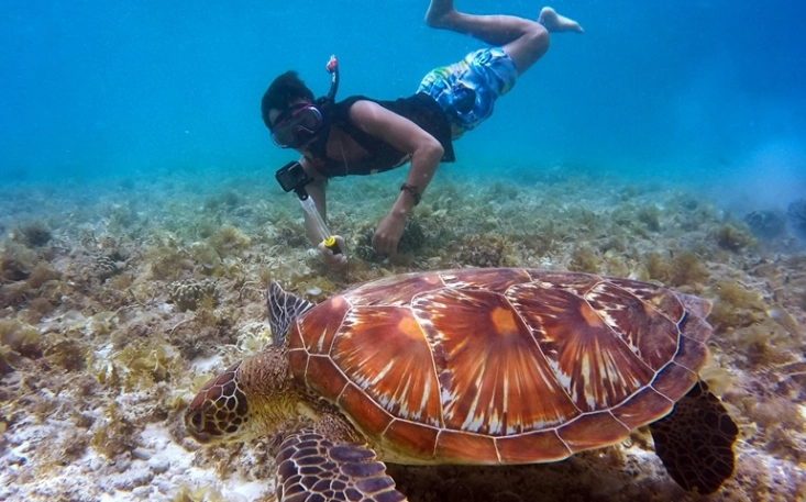 best snorkeling galapagos