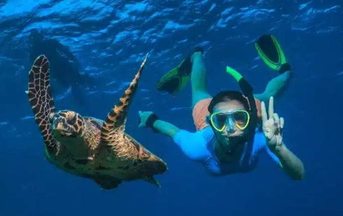 Seychelles snorkeling season