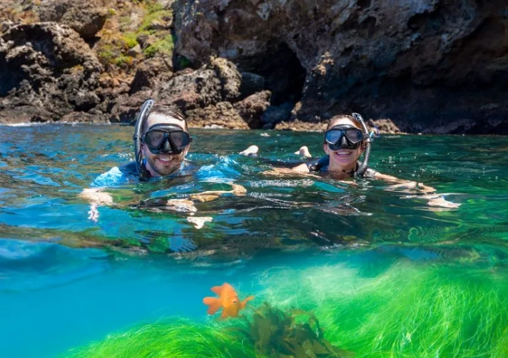 guided snorkeling tours