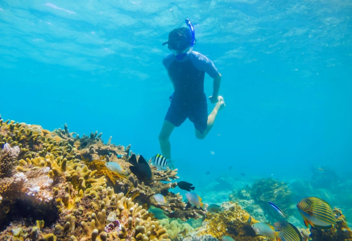 West Bay Beach snorkeling