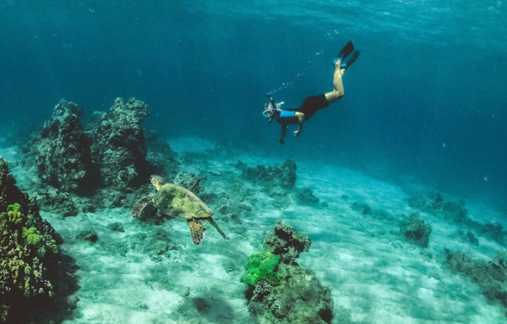 snorkeling Costa Rica dry season snorkeling Costa Rica dry season