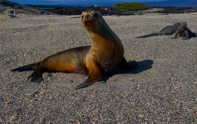 avoid Galapagos crowds