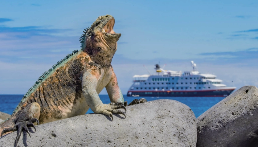 worst time to visit Galapagos