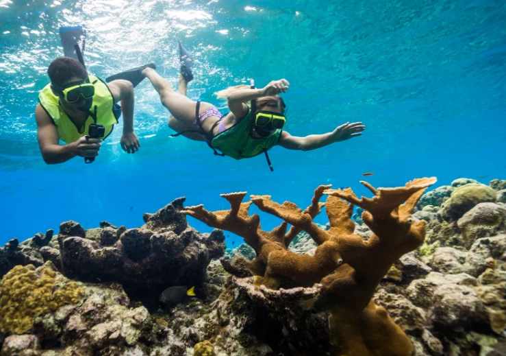 Grand Cayman snorkeling excursions