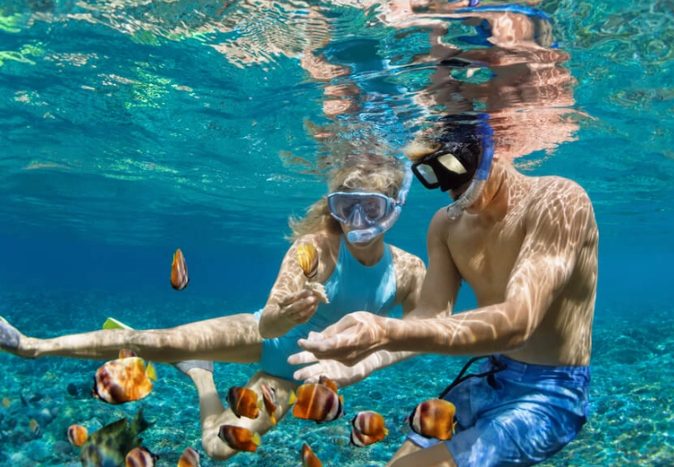 Grand Cayman snorkeling excursions