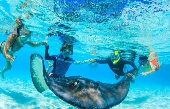 best snorkeling in cayman islands
