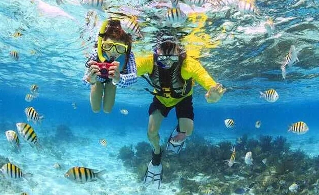 Snorkeling in Grand Cayman cruise port