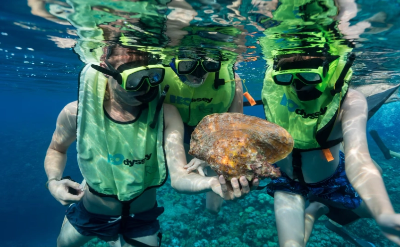 Snorkeling in Grand Cayman near cruise port