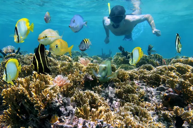 Cayman snorkeling spots
