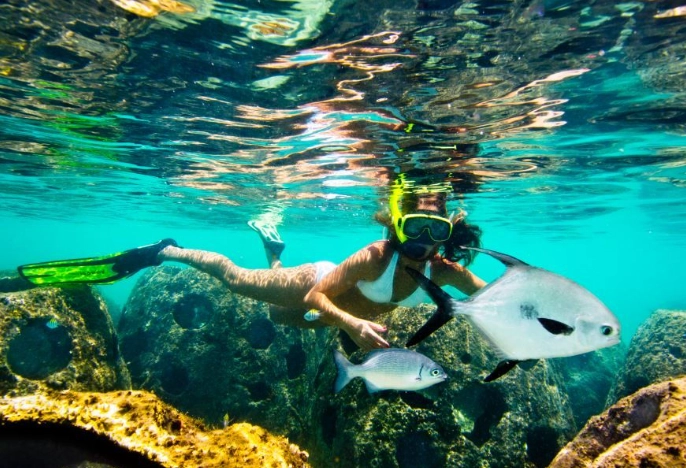Grand Cayman snorkeling from shore