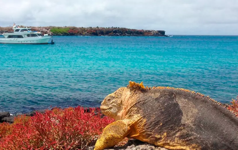 Galapagos Islands rainy season
