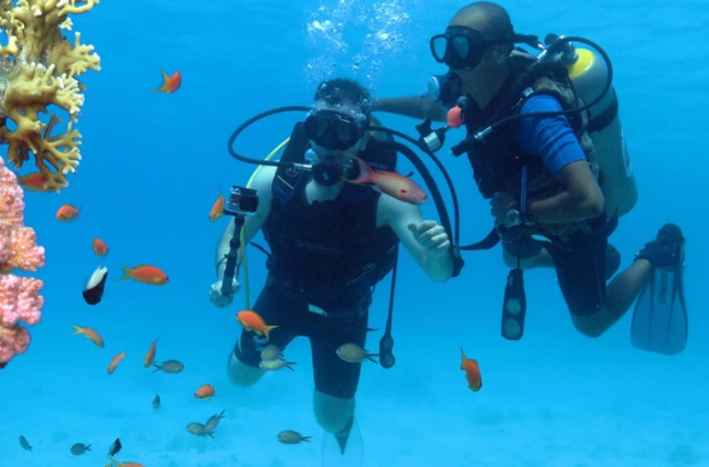 snorkeling Egypt Red Sea snorkeling Egypt Red Sea