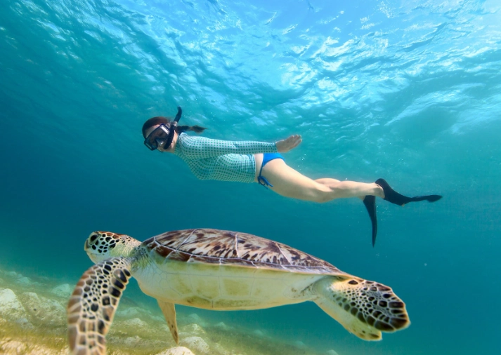 best snorkeling day trips