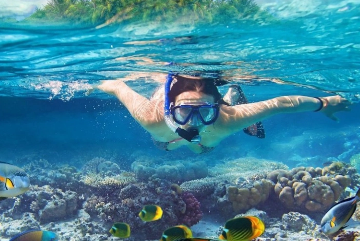 freediving while snorkeling