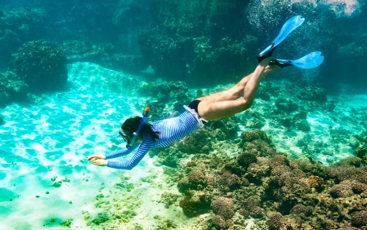snorkeling tours Bahamas snorkeling tours Bahamas