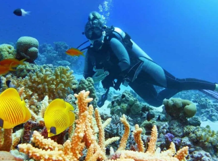 snorkeling Egypt Red Sea snorkeling Egypt Red Sea