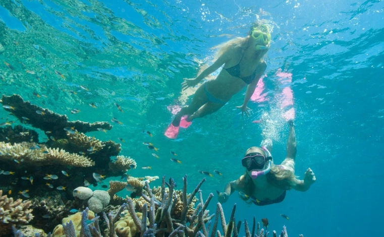 Is snorkeling safe Great Barrier Reef Is snorkeling safe Great Barrier Reef