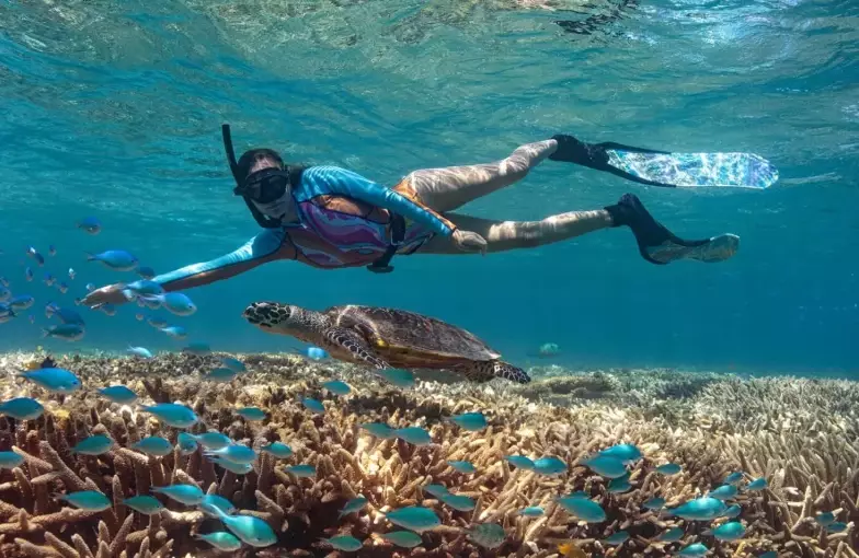 Is snorkeling safe Great Barrier Reef Is snorkeling safe Great Barrier Reef