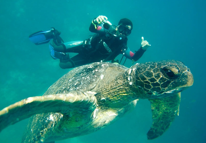 snorkeling in Galapagos
