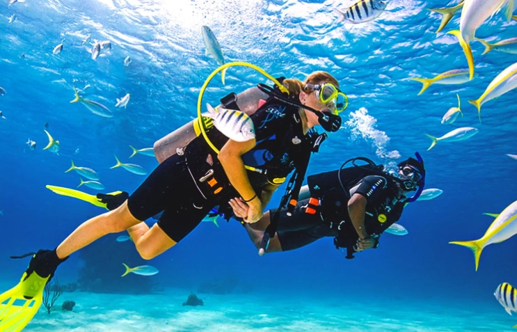 snorkel diving techniques