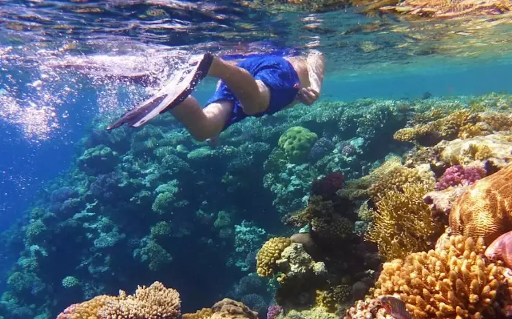 Egypt snorkeling spots Egypt snorkeling spots