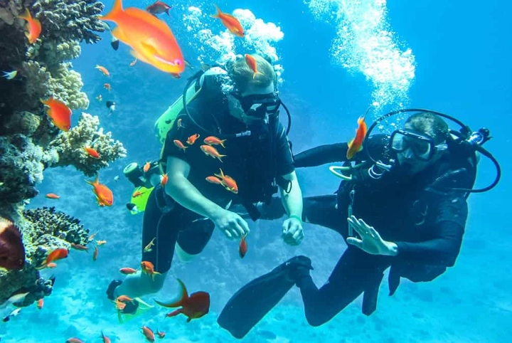 Egypt snorkeling spots Egypt snorkeling spots