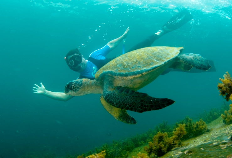 Galapagos snorkeling wetsuit