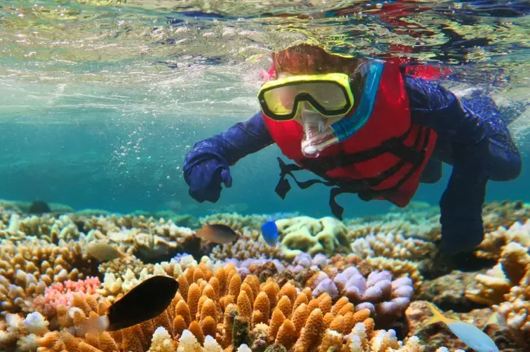 freediving while snorkeling