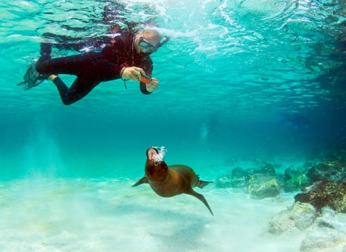 Do I need a wetsuit to snorkel in the Galapagos?
