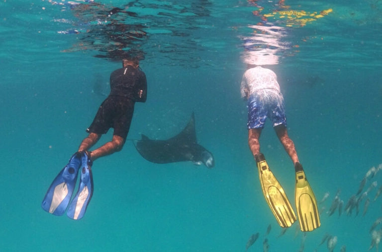 snorkeling tours