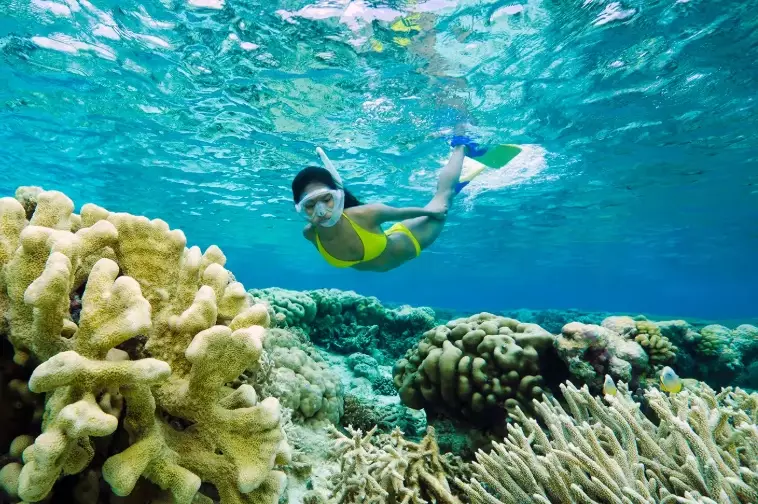 top snorkeling destinations
