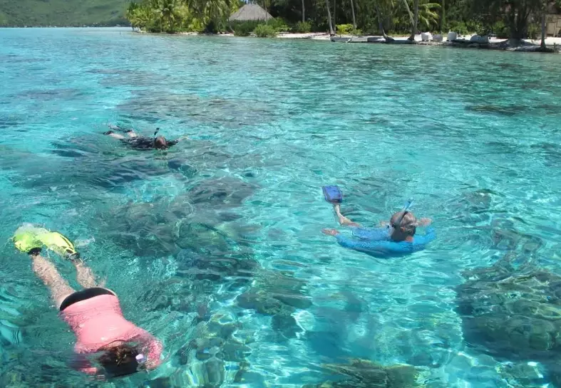 snorkeling bora bora