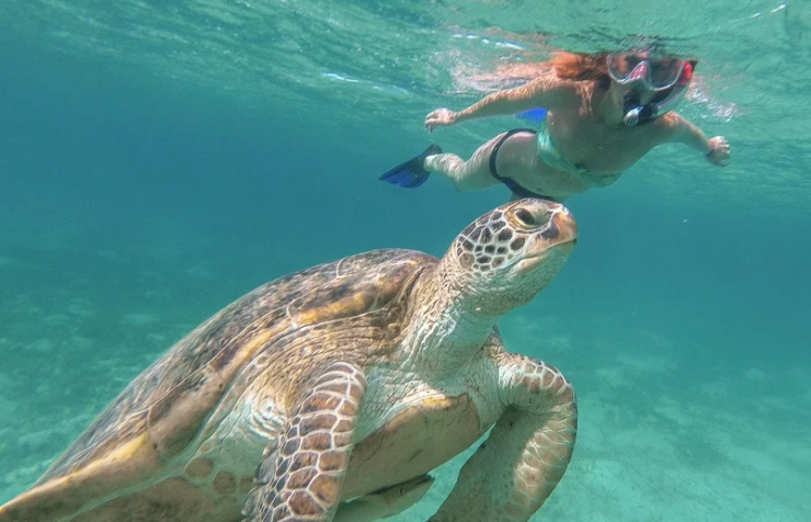 Nassau snorkeling tours Nassau snorkeling tours