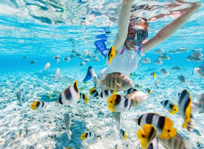 Nassau snorkeling spots Nassau snorkeling spots