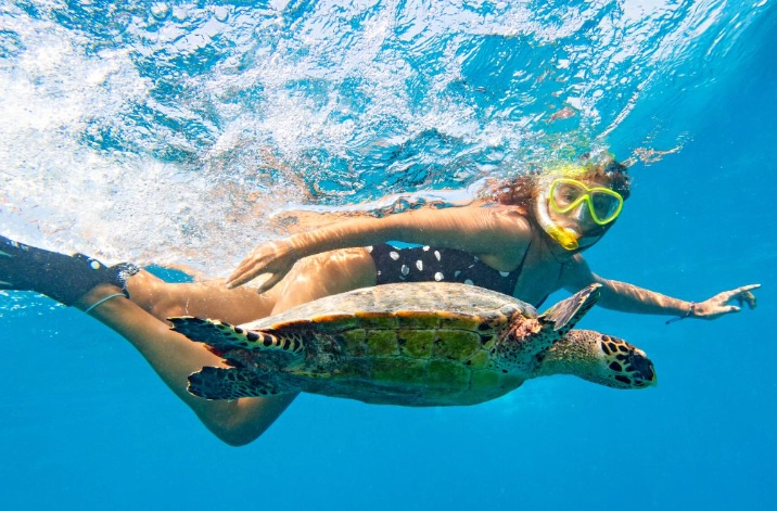 snorkeling in Hawaii morning or afternoon