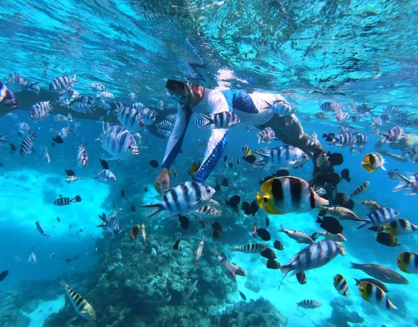 best snorkeling in bora bora