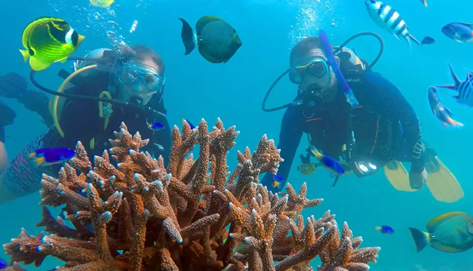 how much to snorkel Seychelles