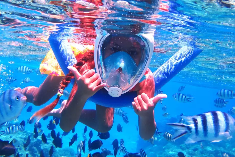 how much to snorkel in Bora Bora