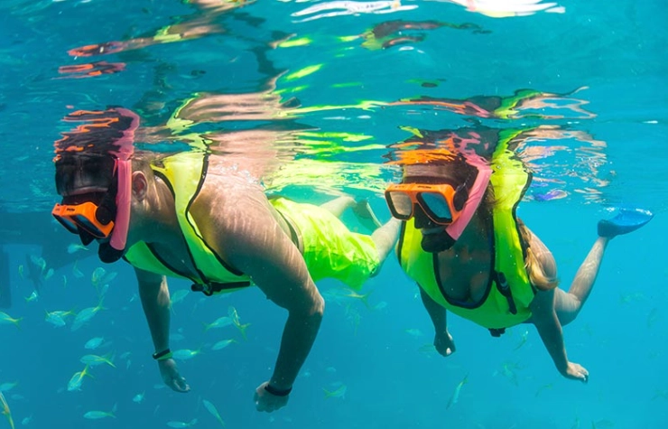 Key West snorkeling tours