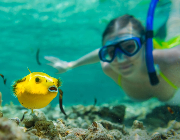 snorkeling Seychelles cost